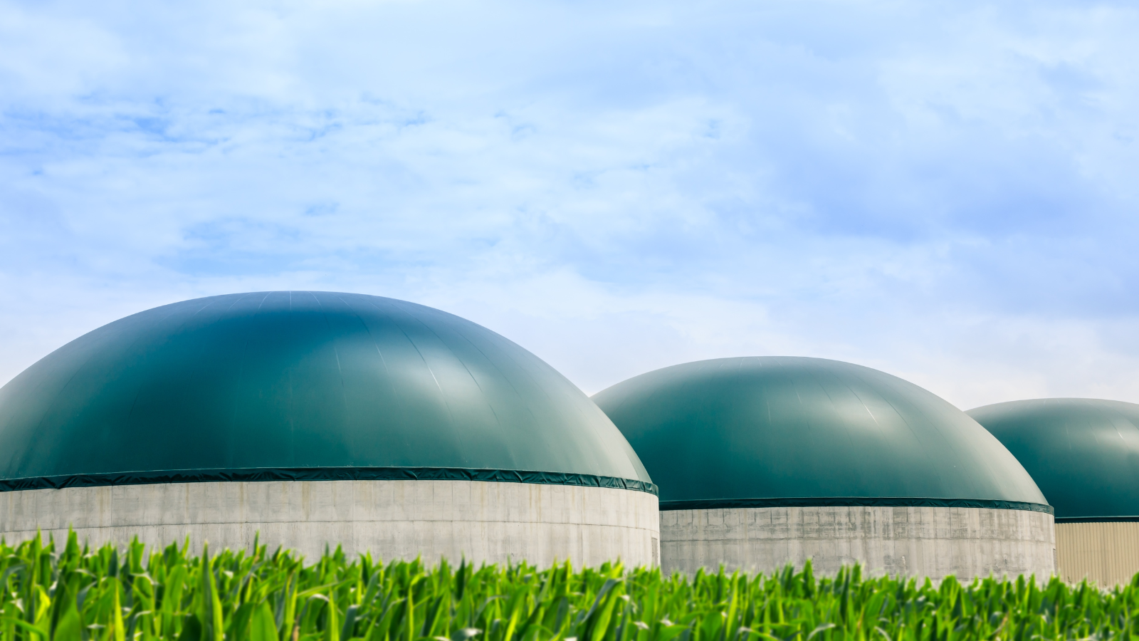 Ampliado el plazo de solicitud de ayudas para las convocatorias de proyectos singulares de biogás, MOVES Singulares II - Segunda Convocatoria y Redes de calor y frío que utilicen fuentes de energía renovable