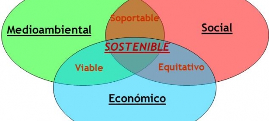 Biocarburantes. Desarrollo sostenible
