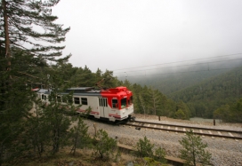 Vista de un tren sobre una vía de montaña que cruza un gran pinar