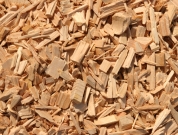 Energía de la Biomasa. Astillas de madera