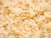 Energía de la Biomasa. Cascarilla de arroz