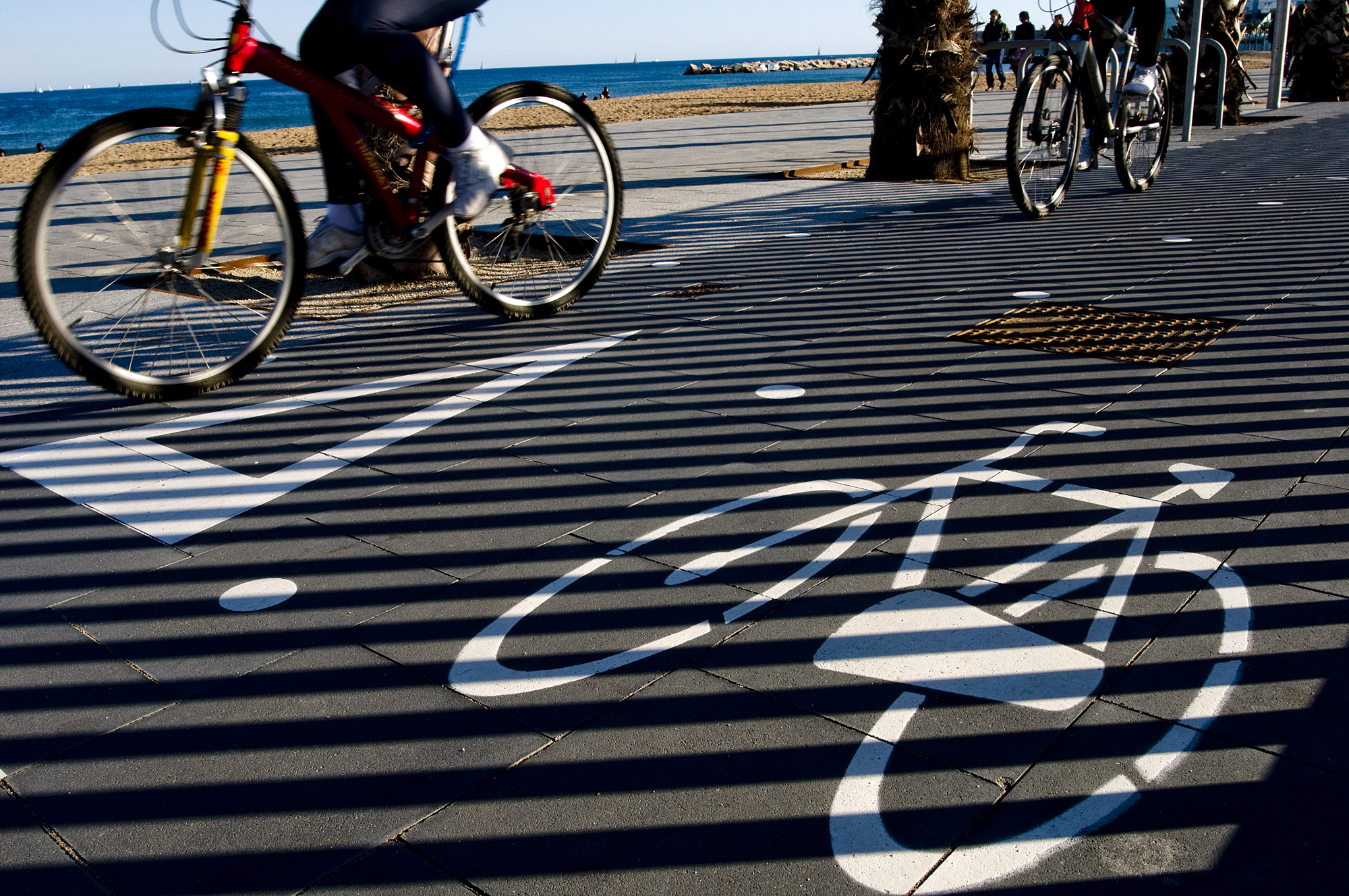 Vista de bicicletas circulando junto al mar sobre pavimento con señales de ceda el paso y una bicicleta