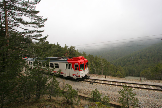 Vista de un tren sobre una vía de montaña que cruza un gran pinar