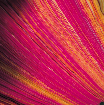 ENION empieza a inv...