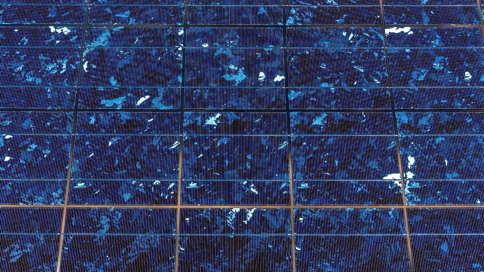 El MITECO destina 1...