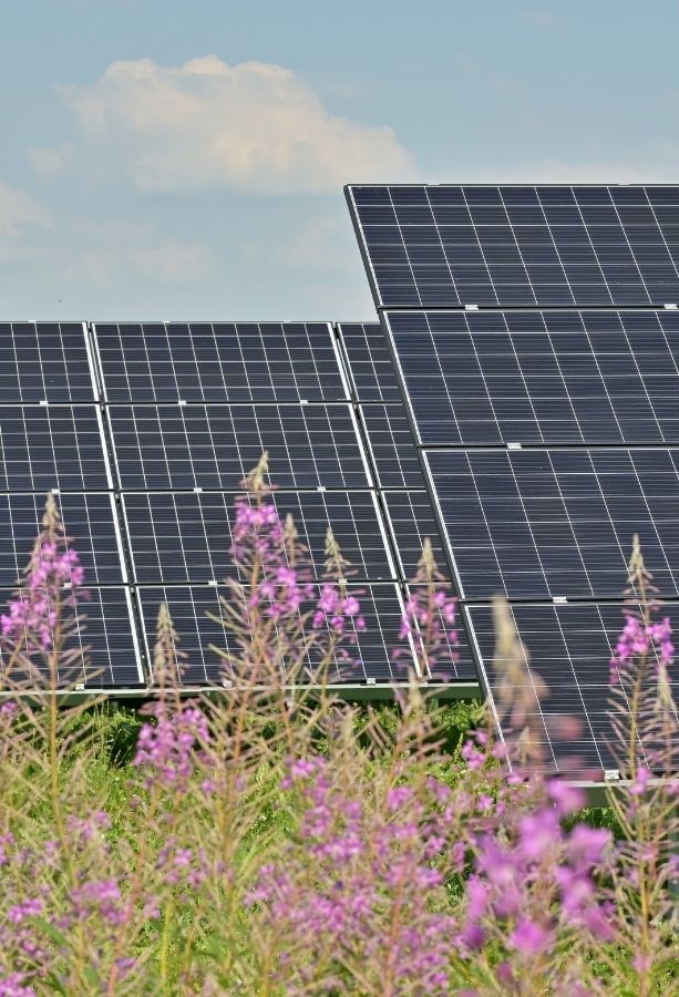 El MITECO abre a au...