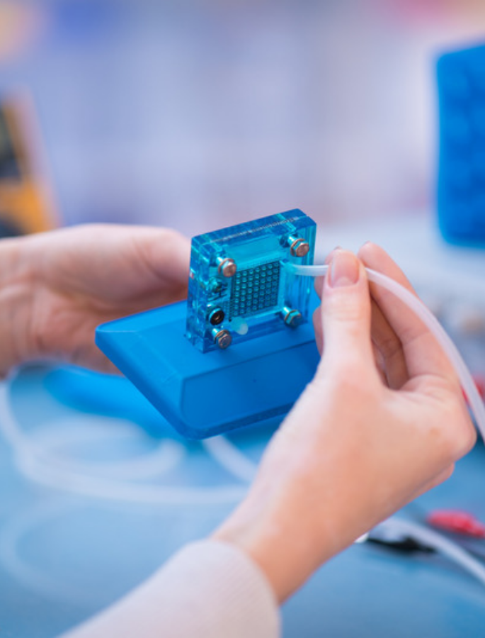 El MITECO lanza las...