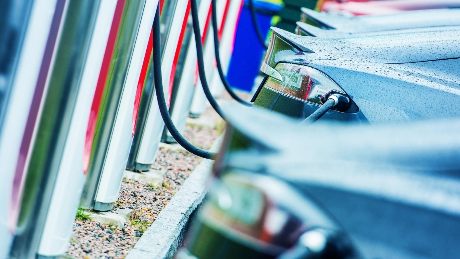 El MITECO abre la c...