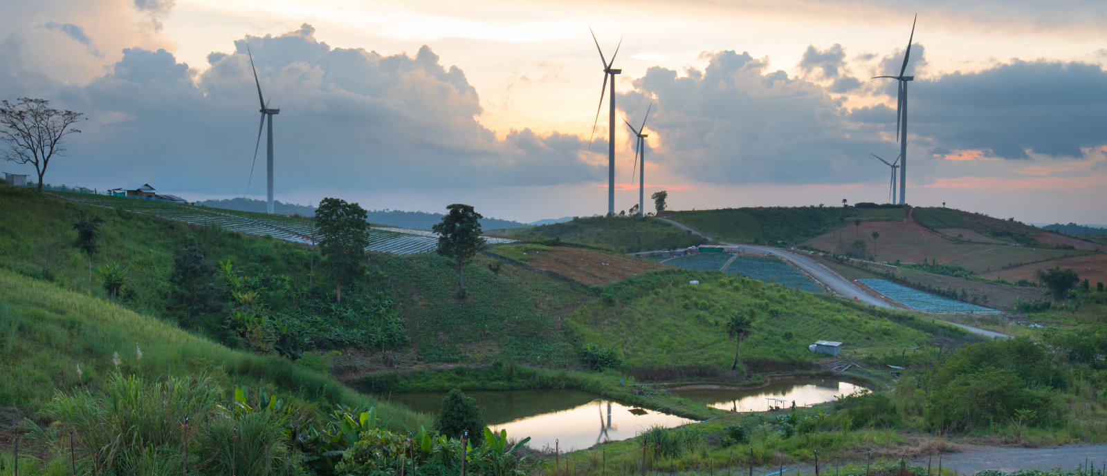 España acogerá la p...
