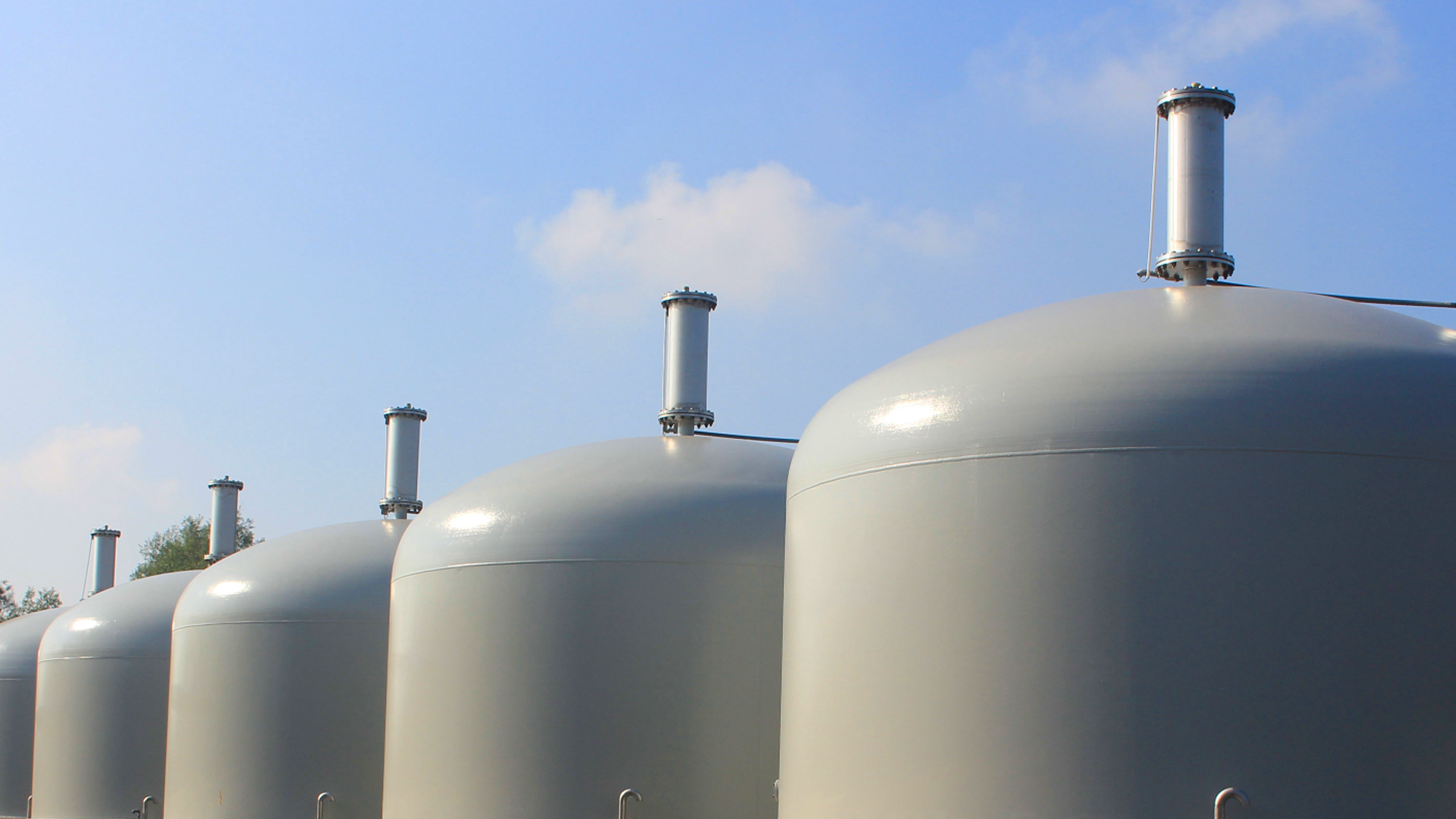 El MITECO somete a ...