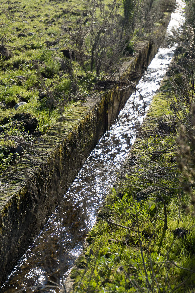 Agricultura. Canal ...