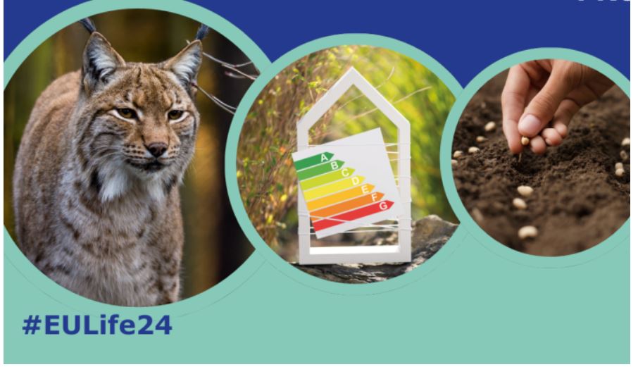 Récord de respuesta...