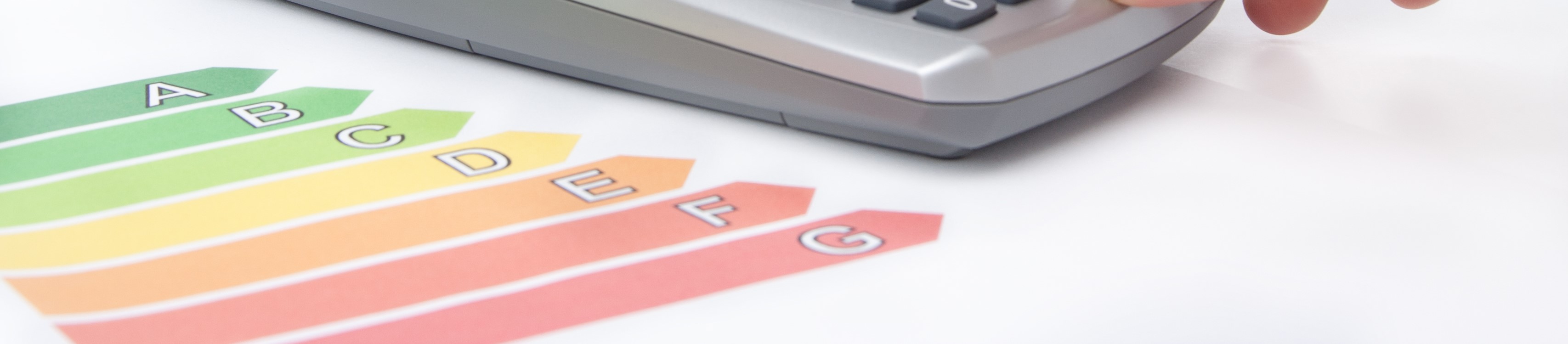 Nuevo etiquetado en...