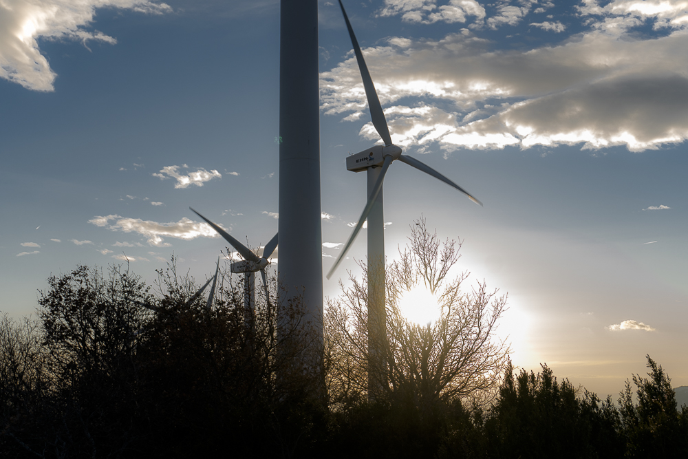 El Gobierno busca a...