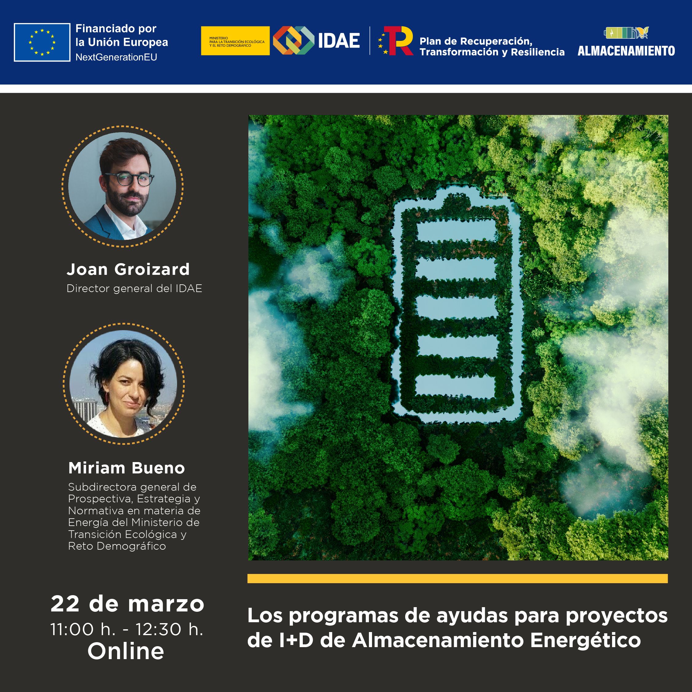 Los programas de ayudas para proyectos de I+D de Almacenamiento Energético