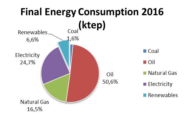 Final Energy Consumption