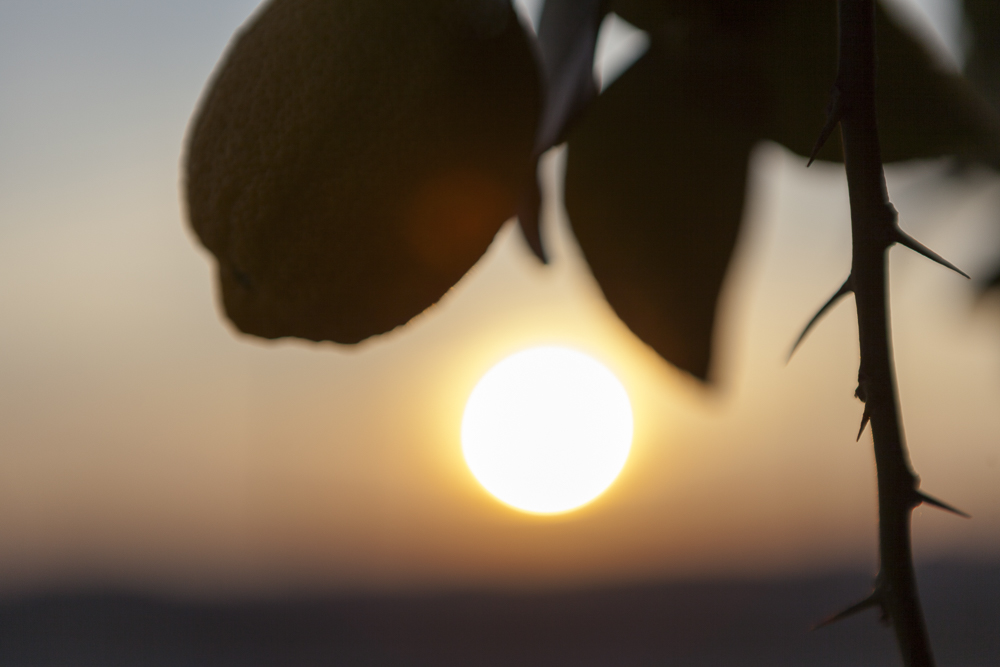 El Gobierno envía a...