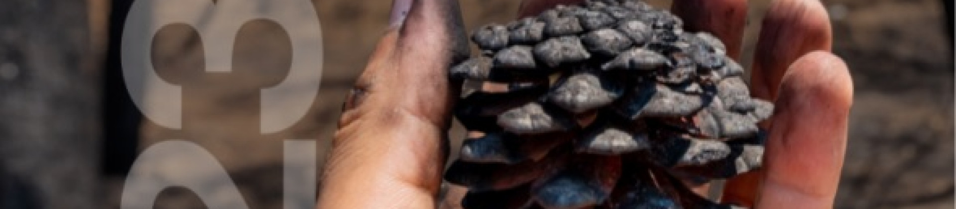 Jornada Ley de Camb...