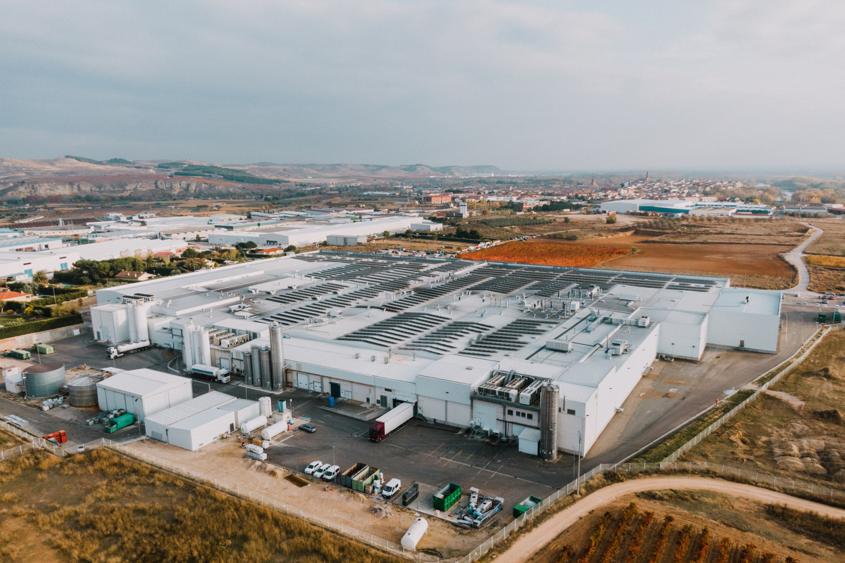 subastas europeas d...