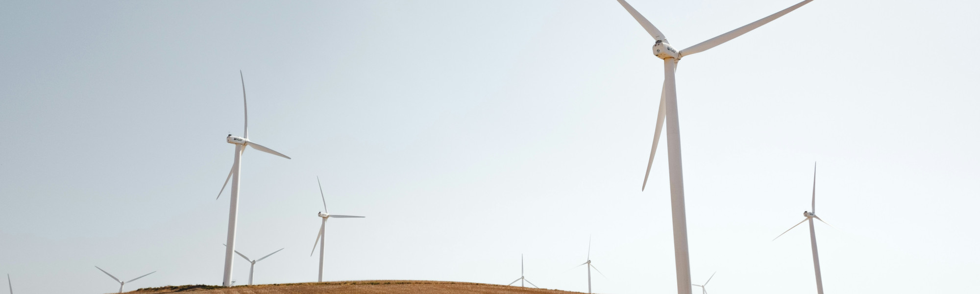 Energía eólica. Imagen obtenida de la web de MITECO